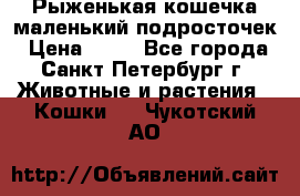 Рыженькая кошечка маленький подросточек › Цена ­ 10 - Все города, Санкт-Петербург г. Животные и растения » Кошки   . Чукотский АО